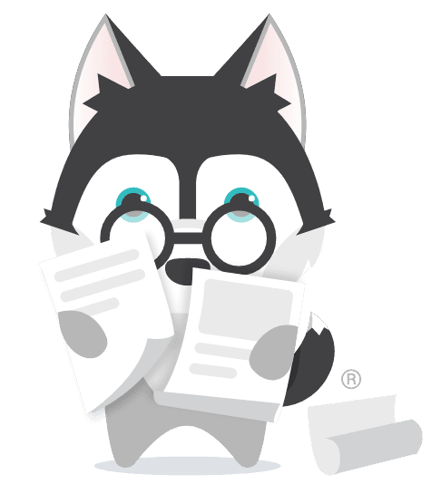Dog with papers